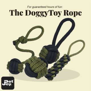 Throwing, chewing, tugging and playing. You can do everything with our DoggyToy Rope collection. It lasts long and it cleans your pooch's teeth while playing. Call that a win/win! 🐾🐕
#petjoyproducts #dogstagram #petstagram #dogtoys #doggytoys #dogrope #dogfun #dogmusthave