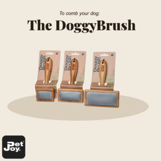 Brushing with The DoggyBrush keeps the fur and skin of animals healthy and shiny. The DoggyBrush products have a chic and sustainable look. The handles are made of bamboo and are very comfortable to use and easy to clean. 

#Dogbrush #petjoyproducts #dogstagram #petstagram