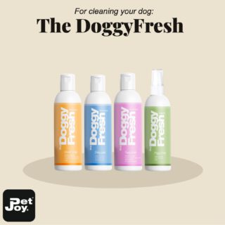 The DoggyFresh is a line of shampoos and conditioners tailored to the different skin and hair types of dogs. From short-haired dogs with normal skin, to dogs with oily skin flaking, itching, dryness and dullness, DoggyFresh has the right product for it. With the right combination of minerals, plant extracts, vitamins and nourishing oils, every dog gets the care they need.#DoggyFresh #petjoyproducts #petstagram #dogstagram #dogsoninstagram