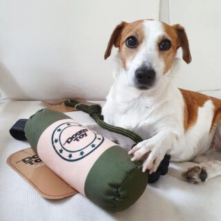 @melis.gram from Cyprus is ready to set her teeth in theDoggyToy Oxford and the theDoggyToy rope. These durable toys are perfect for playing for hours on end! 🐶
#petjoyproducts #petjoy #dogstagram #dogbed #thedoggybagg #doggybagg #dogsofinstagram #pets #jackrussell